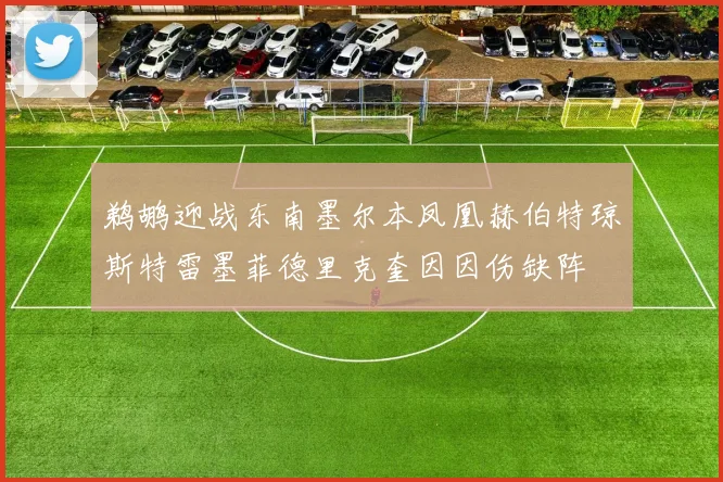 鹈鹕迎战东南墨尔本凤凰赫伯特琼斯特雷墨菲德里克奎因因伤缺阵