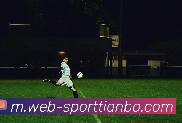 天博体育平台生态图